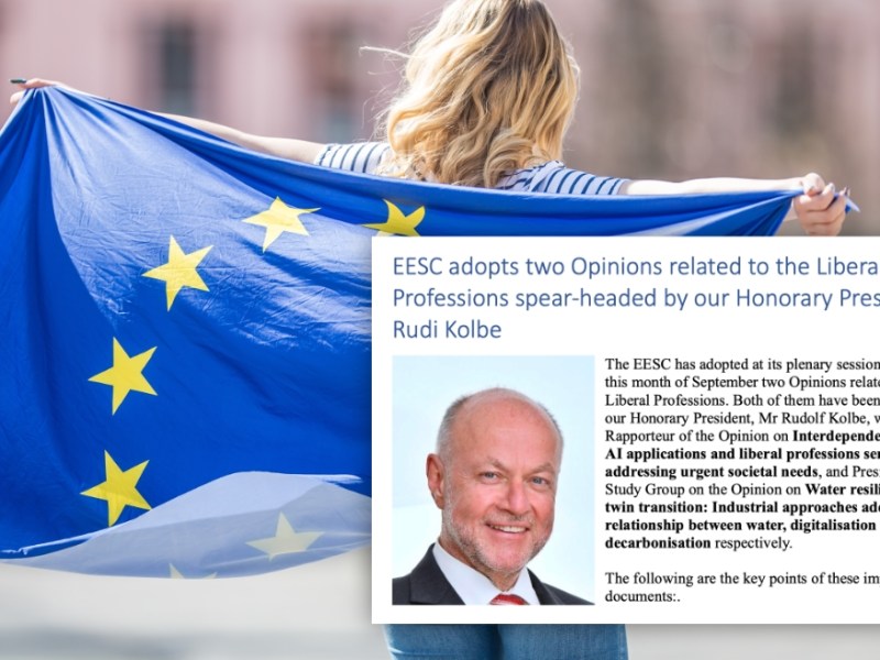 CESE adota opinião sobre inteligência artificial e profissionais&nbsp;liberais