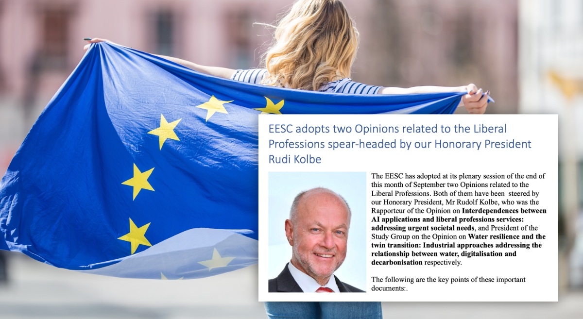 CESE adota opinião sobre inteligência artificial e profissionais&nbsp;liberais